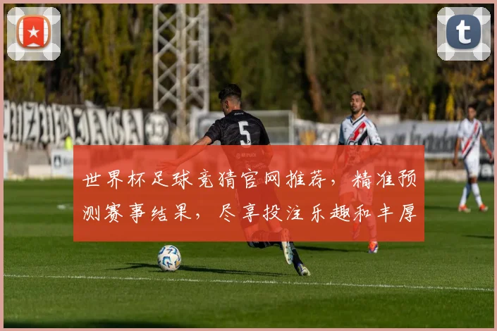 世界杯足球竞猜官网推荐，精准预测赛事结果，尽享投注乐趣和丰厚奖金