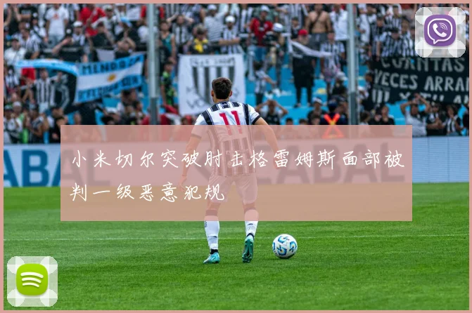 小米切尔突破肘击格雷姆斯面部被判一级恶意犯规