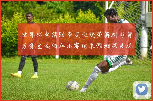 世界杯竞猜赔率变化趋势解析与背后资金流向和比赛结果预测深度观察